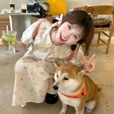 美丽的日子